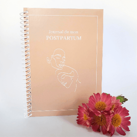 Journal de mon postpartum (Sabrina Dessureault doula) - Ta grand-mère Approuve