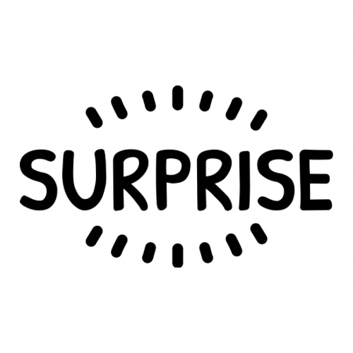 Choix surprise Boutique de protections hygiéniques lavables Ta grand-mère Approuve