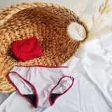 Culottes hygiéniques protège-dessous avec absorbant intégré - tagrandmereapprouve