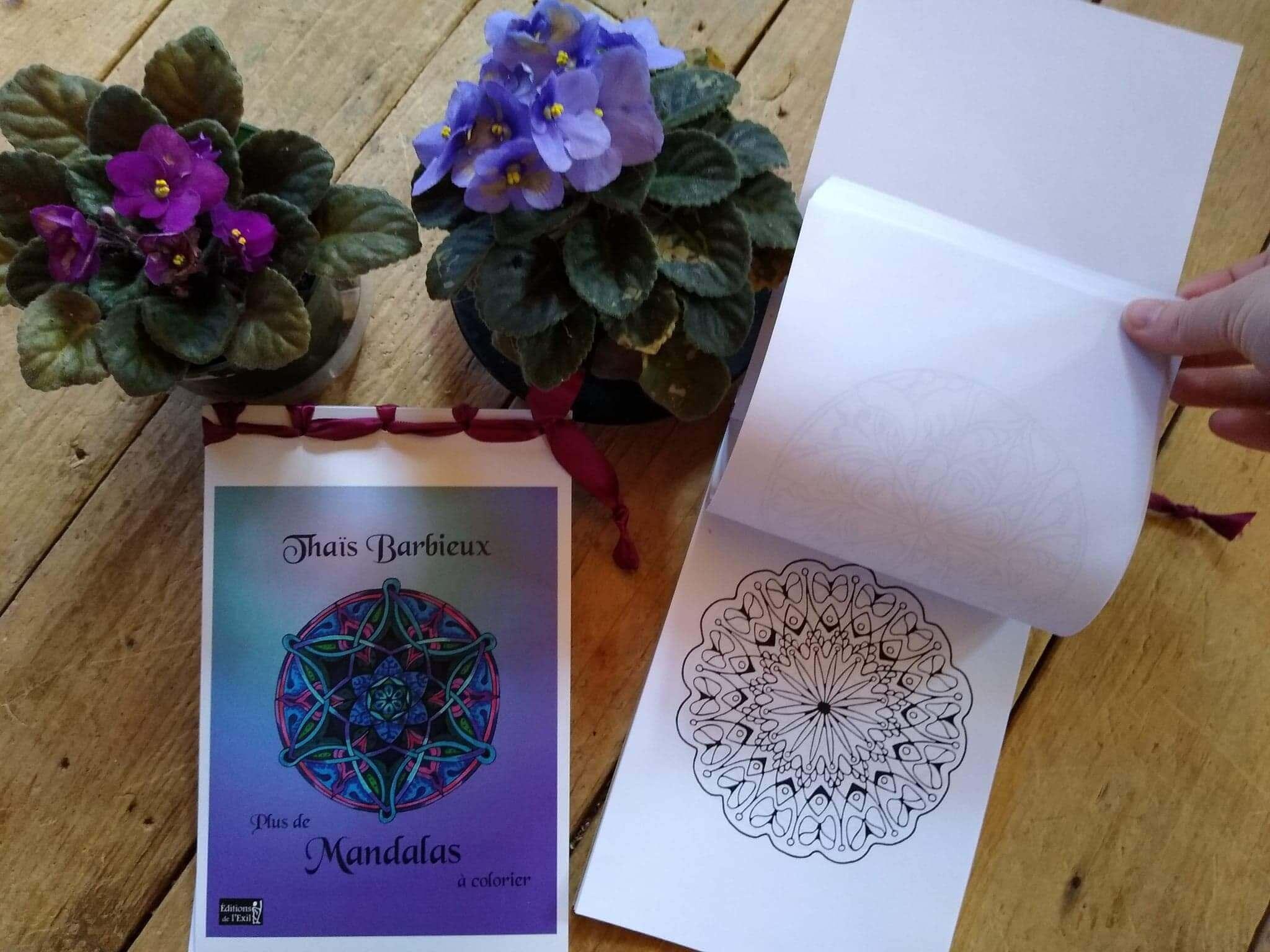 Petit cahier de dessins Mandalas - Ta grand-mère Approuve